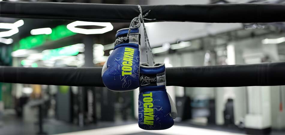 Boxing Gloves Evolution