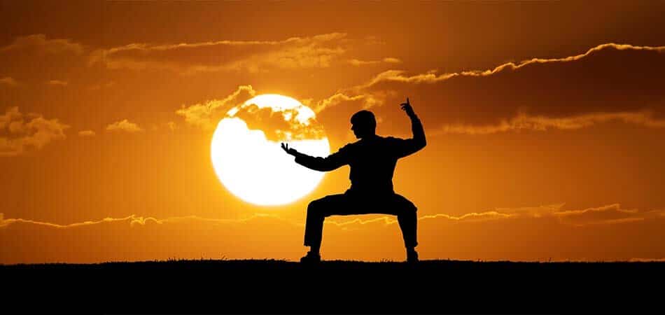 Bruce Lee MMA Legacy