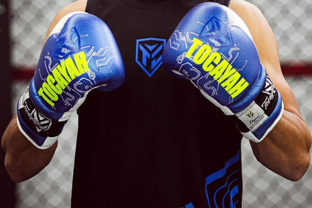 Boxing Gloves Evolution